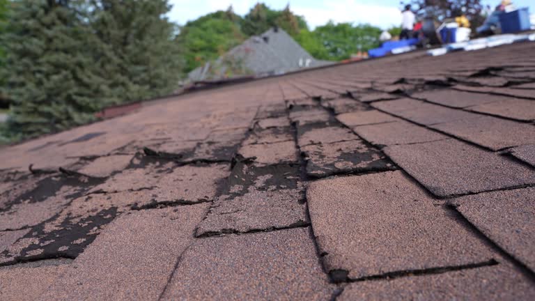 Trusted Dawson, MN Roof Repair & Installaion Experts